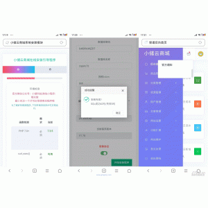 [iApp]小储云商城源码